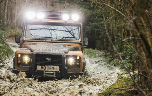 Water, nature, dirt, Land Rover, Trophy, headlights, Defender, Works