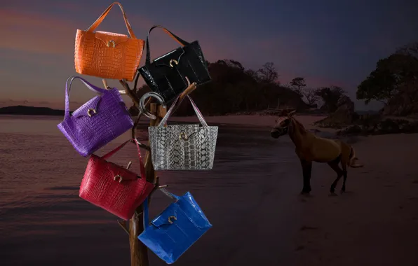 Picture concept, horseshoe, sea, sunset, collection, commercial, advertising, handbags
