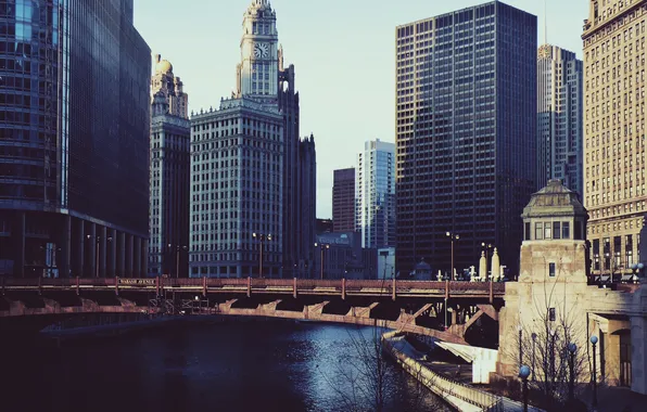 Building, skyscrapers, Chicago, USA, America, Chicago, skyscrapers