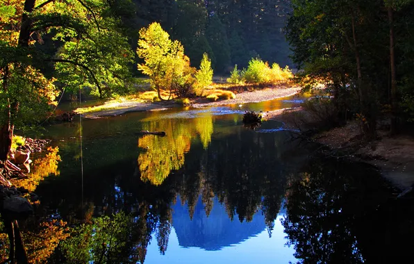 Autumn, forest, trees, mountains, reflection, augereau,