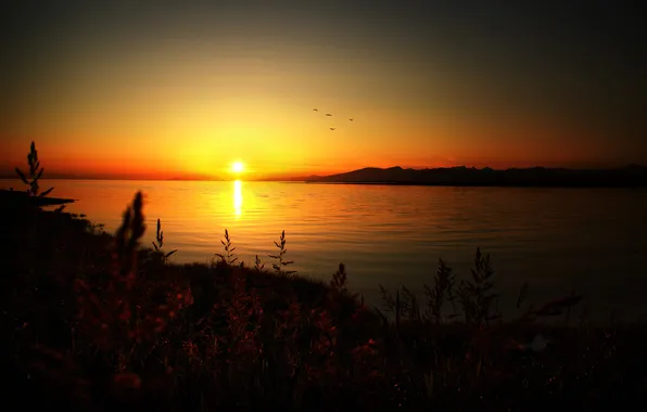 The sky, the sun, landscape, sunset, mountains, nature, plants, horizon