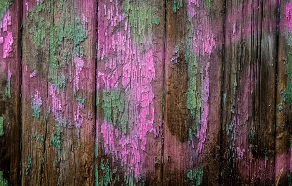 Board, the fence, paint