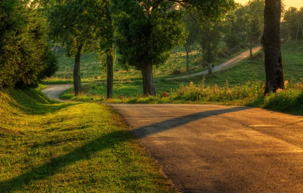 Picture road, summer, the sun, light, trees