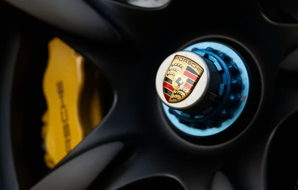 Picture Porsche, logo, Porsche Carrera GT, badge