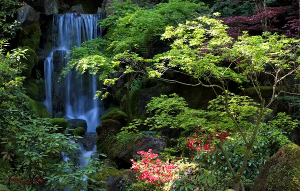 Nature, photo, waterfall, garden, USA, Oregon, Portland