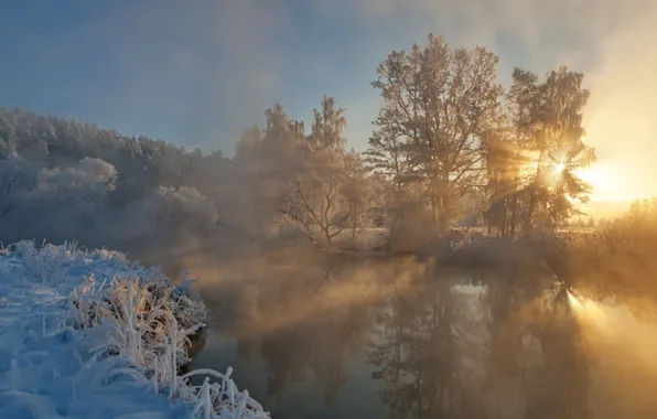 Picture winter, the sun, light, snow, trees, river