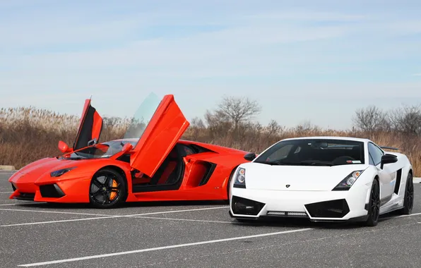 White, orange, Parking, white, lamborghini, orange, aventador, lp700-4