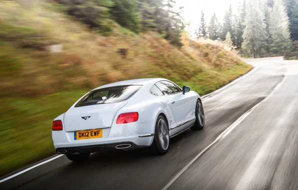 Bentley, Continental, Road, White, Forest, Machine, In Motion