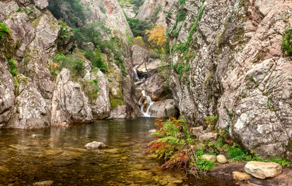 Picture stream, stones, rocks, France, waterfall, the bushes, Corsica
