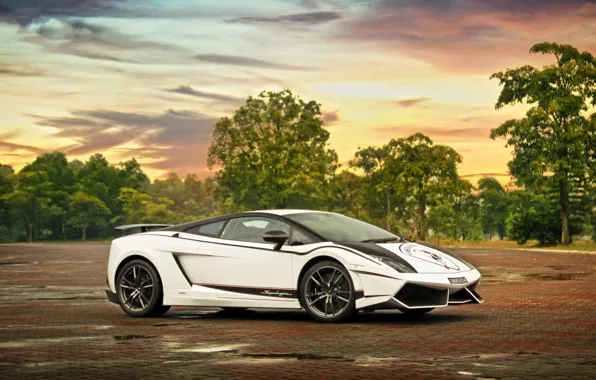 White, the sky, clouds, trees, white, lamborghini, side view, Lamborghini