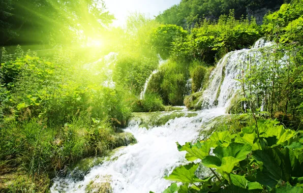 Picture greens, forest, grass, the sun, trees, waterfall, the bushes