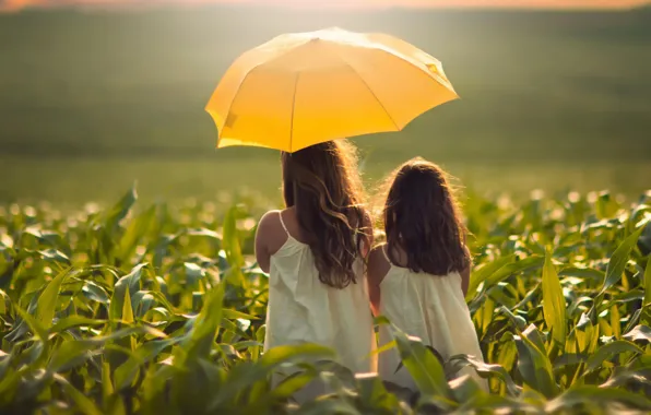 Field, girls, umbrella, corn, girl, sisters