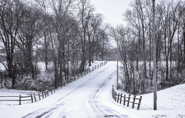 Picture winter, road, snow