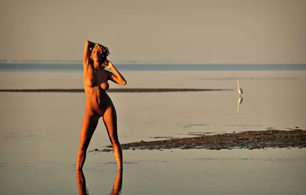 Lake, bird, figure, blonde, Heron, chic