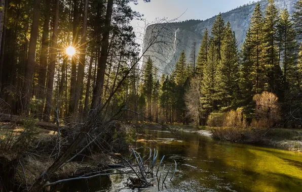 Mountains, river, morning