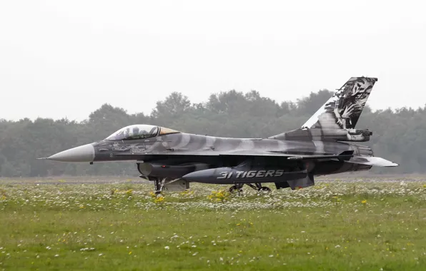 Picture fighter, the airfield, F-16, Fighting Falcon, multipurpose, "Fighting Falcon"