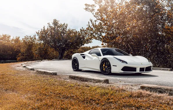 Wallpaper Ferrari 488, white, sports car