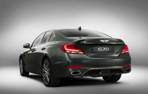 Sedan, Hyundai, rear view, Genesis, 2019, G70