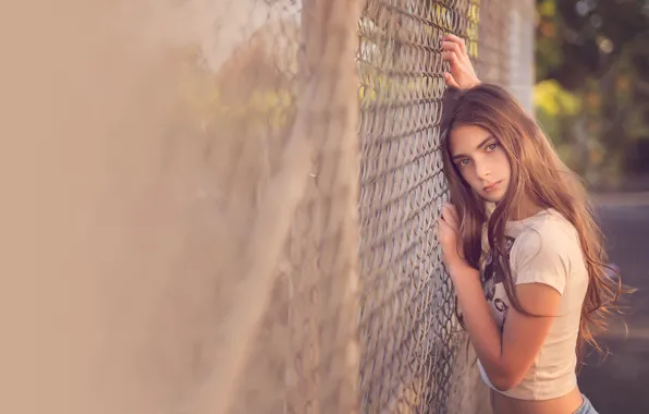 Picture mesh, girl, curls, Meg Bitton