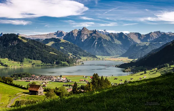 Grass, sky, mountains
