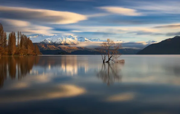 Clouds, mountains, lake, tree, New Zealand