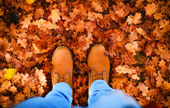 Autumn, nature, feet, foliage, jeans, shoes, brown, blue