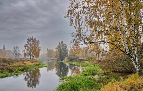 Autumn, trees, landscape, fog, river, birch, Golden autumn, Klyazma