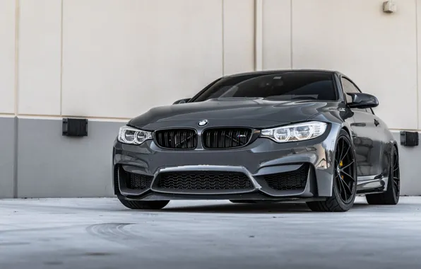 BMW, Light, Sight, Graphite, LED, F83, 3/4