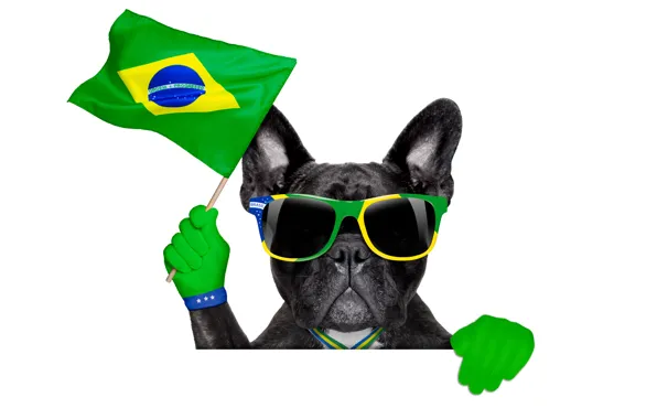 Picture dog, glasses, logo, dog, football, flag, funny, cool