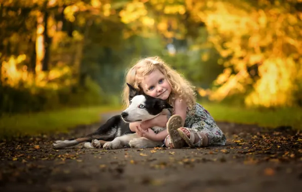 Picture summer, dog, girl