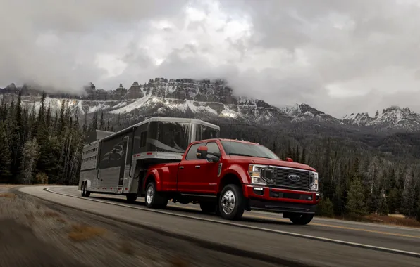 Ford, pickup, the trailer, Super Duty, F-450, Limited, 2019, F-series