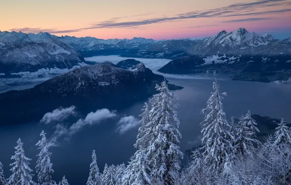 Winter, trees, mountains, lake, sunrise, dawn, morning, Switzerland