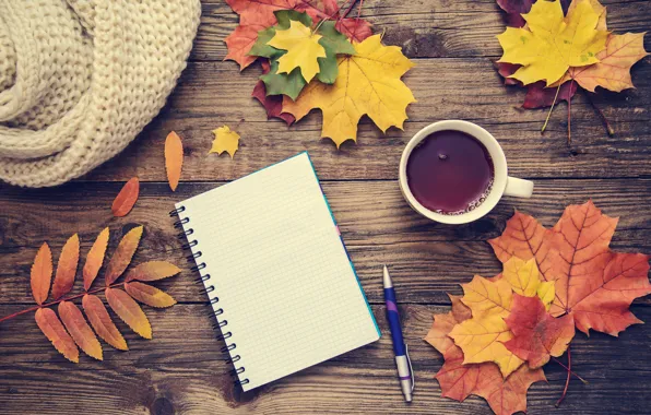 Autumn, leaves, background, colorful, maple, wood, notebook, autumn