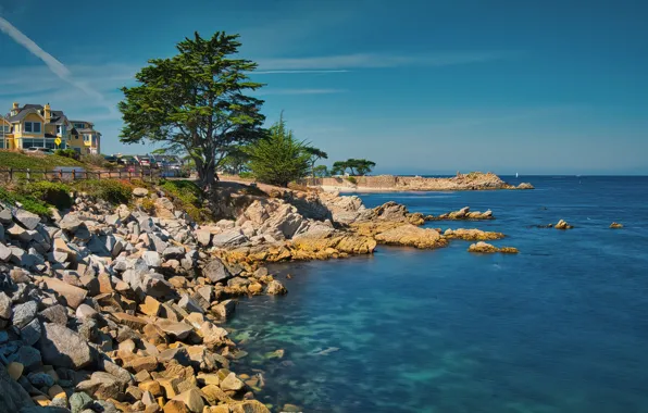 Picture coast, CA, USA, Monterey Bay