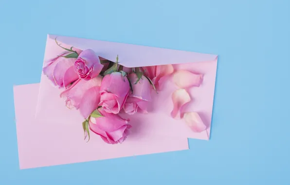 Flowers, roses, pink, pink, flowers, beautiful, romantic, the envelope