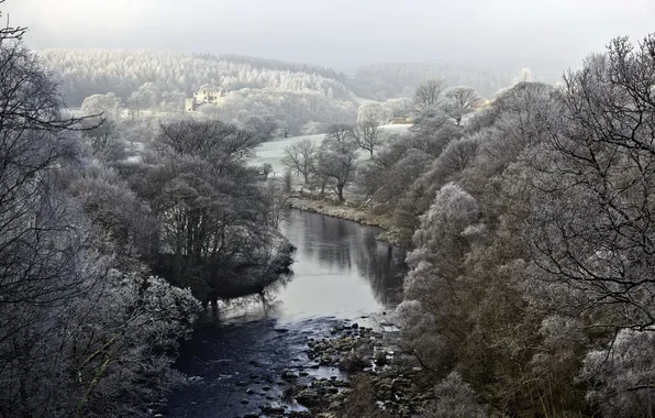 Landscape, nature, river