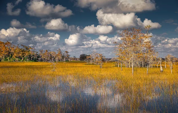 USA, Clouds, Florida, Big Cypress National Preserve