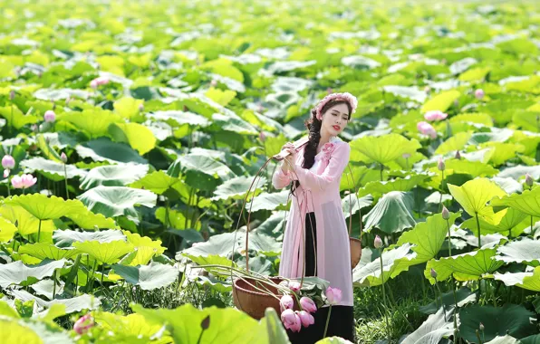 Picture girl, summer, Lotus