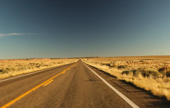 Picture road, the sky, freedom, landscape, sunset, nature, the steppe, the way