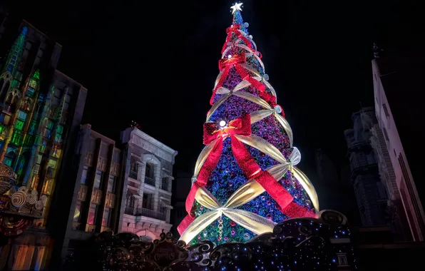 The city, holiday, tree, the evening, beautiful