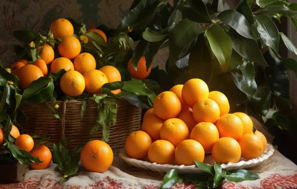 Leaves, branches, table, oranges, harvest, fruit, plate, slide