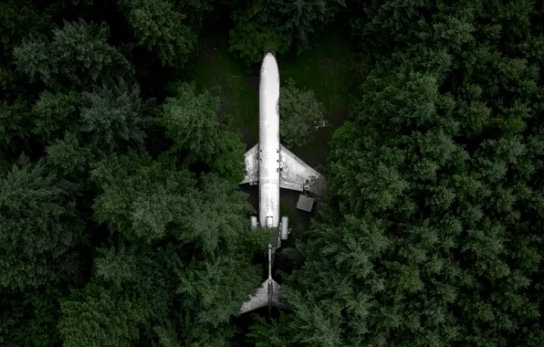 Picture forest, trees, USA, the plane, Oregon, the view from the top, Boeing 727, Hillsboro
