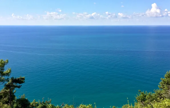 The sky, Clouds, Sea, Mountain, Forest, Pine, Abkhazia, Lazur