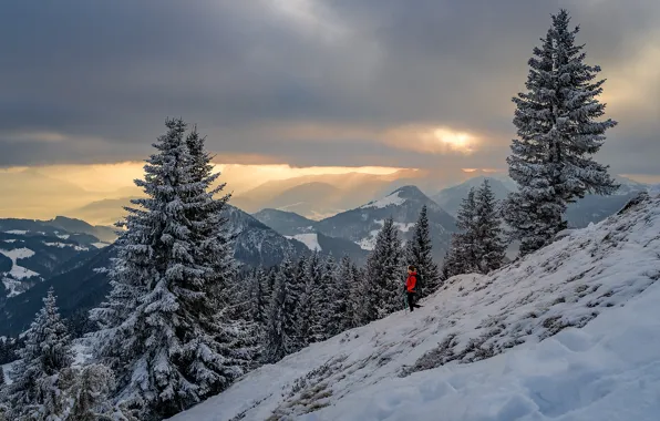 Picture winter, snow, trees, landscape, sunset, mountains, nature, ate