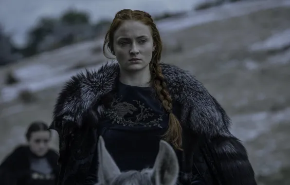 Picture Game Of Thrones, Game of Thrones, Sophie Turner, Sansa Stark