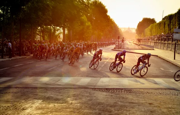 Picture bike, race, Paris, Paris, athletes, marathon, Cycling, riders