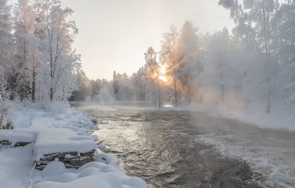 Winter, frost, forest, the sun, snow, nature, river, shore