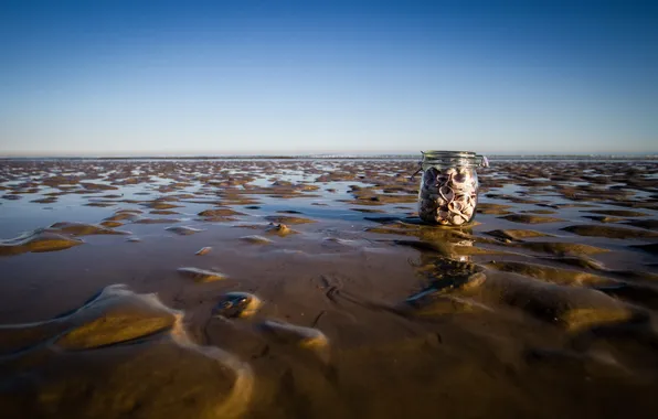 Sand, sea, macro, Bank, shell