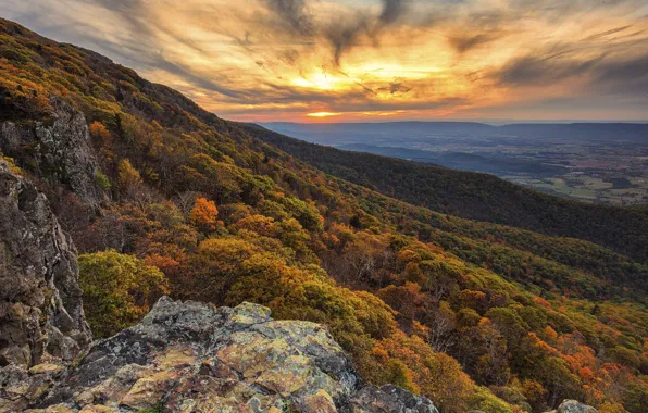 Autumn, forest, the sun, trees, sunset, mountains, fog, stones