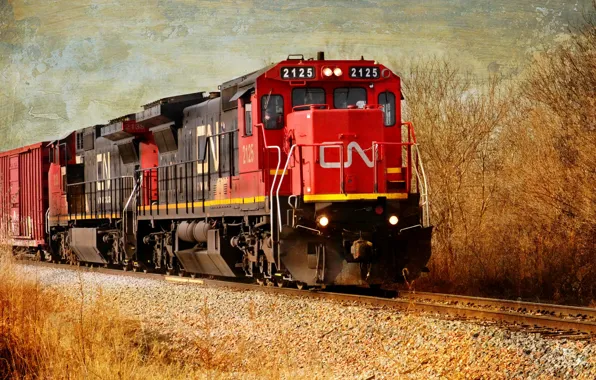 Picture style, background, train
